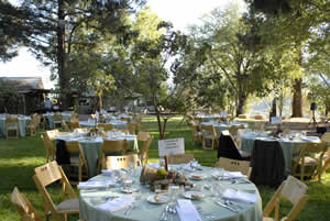 Table Set Up
